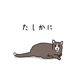 773672656