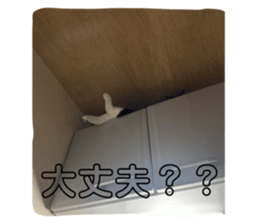 773673723
