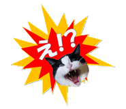 773674569