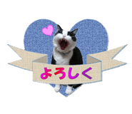 773674573