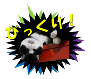 773674576