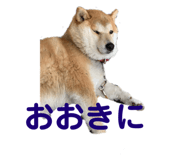 773674810