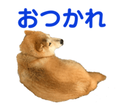 773674813