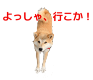 773674816