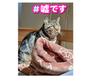 773674956