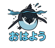 773675097