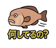 773675101