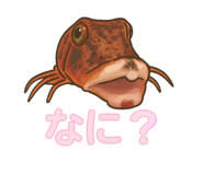 773675109