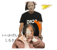773675116