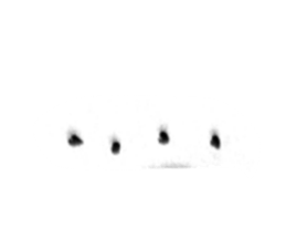 773686277