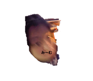 773691750