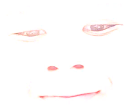 773699317