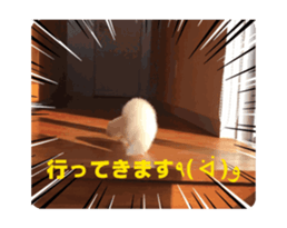 773718090
