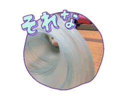 773718095