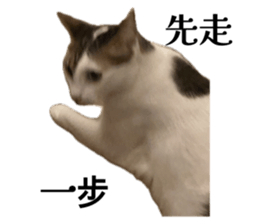 773722755