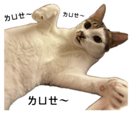 773722766