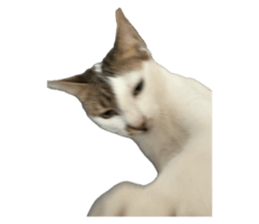 773722776
