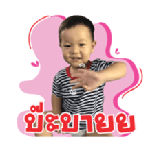 77372614