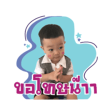 77372616