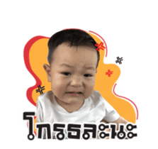 77372618