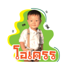 77372620