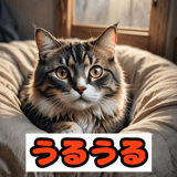 773726620