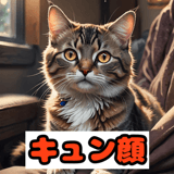 773726639
