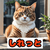 773726647
