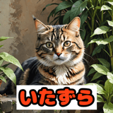 773726656
