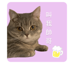 773733248