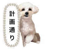 773737543