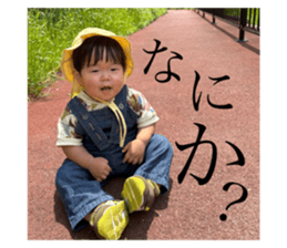 773737962