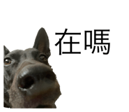 773741280