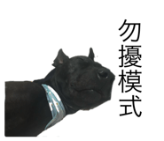 773741284