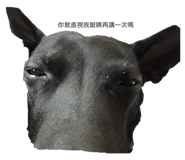 773741294