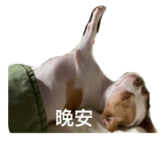 773741419