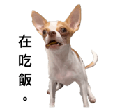 773741423