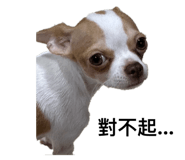 773741426