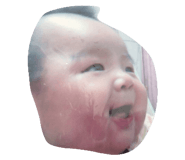 773741554