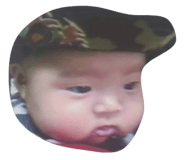 773741556