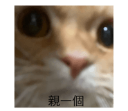 773741609