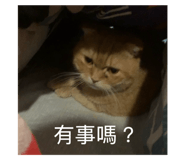 773741614