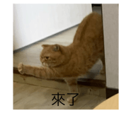 773741616