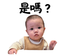 773742344