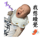 773742811