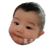 773742880