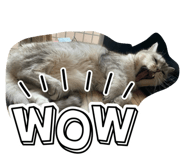 773743227