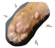 773743241