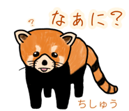 773745347