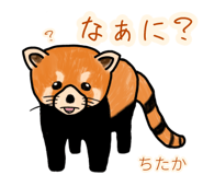 773745427